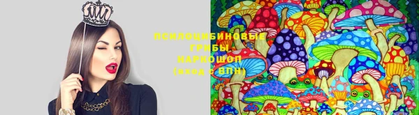 MDMA Premium VHQ Майский