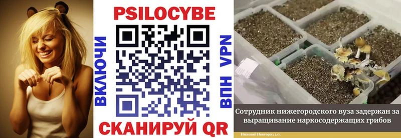 Галлюциногенные грибы MAGIC MUSHROOMS  Нефтекамск 