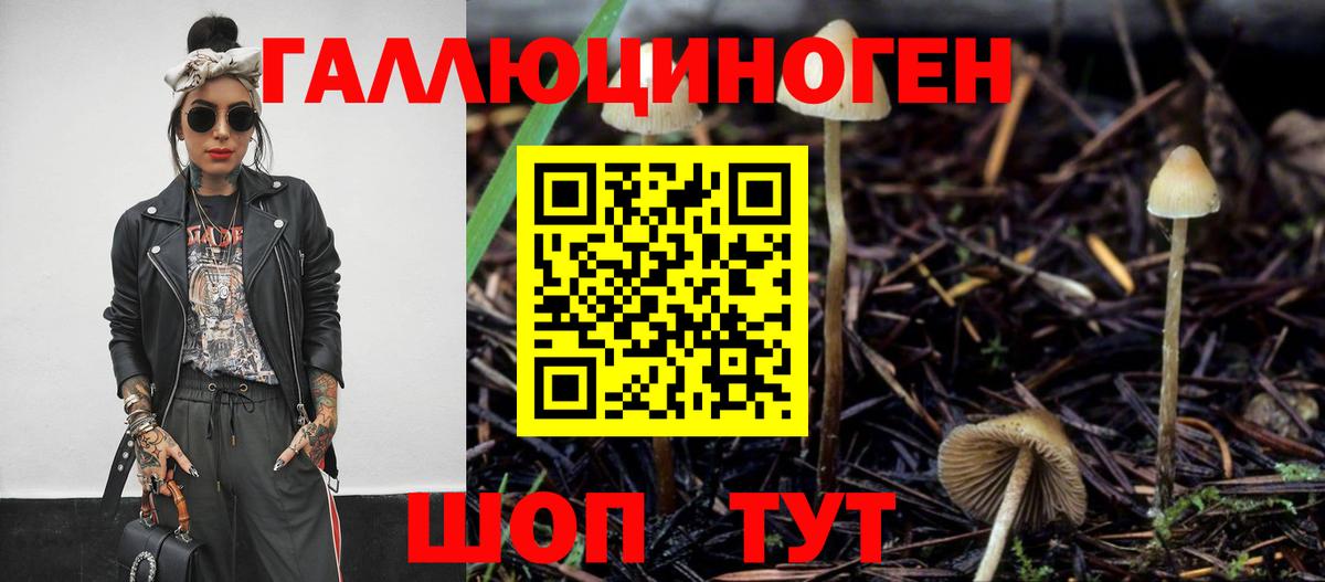Псилоцибиновые грибы GOLDEN TEACHER Нефтекамск
